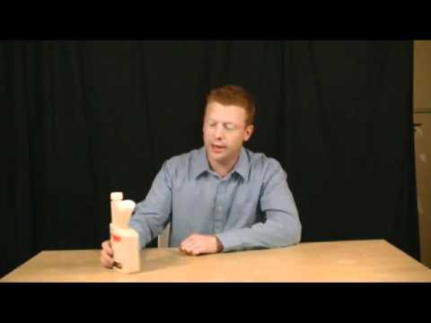 TERMITES VS ANT