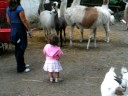 Cecilia Gambino - Allo zoo
