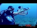 MARLIN, BUCEAR EN CUBA (CUBA) - MUCHOCUBA MARLIN, BUCEAR EN CUBA (CUBA) - MUCHOCUBA