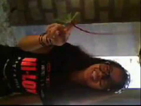 how to grow talbos ng kamote
