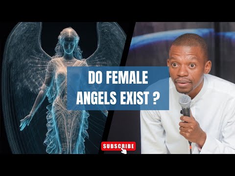 HUMAN ANGELS ( 2 KINDS)
