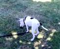 nyssa at the park