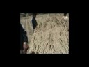 Taller de producci�n y comercializaci�n de Quinua - Conopa