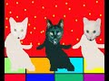 踊るネコ動画