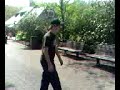pigoen contact- from ripizzle