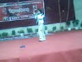 ViPiN