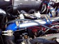 5sfte rev