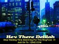 The Baseballs - Hey there Delilah (with lyrics)