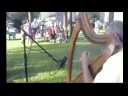 Greensleeves Harp - BarryByrneHarp.com Greensleeves Harp - BarryByrneHarp.com