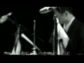 peter doherty - albion babyshambles beautiful song, albion : various concert footage and lyrics