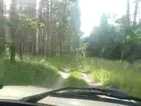 trabbi