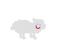 Sheep go to heaven Sheep go to heaven