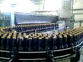 Bottles from Pasteuriser to 6 Pack machines