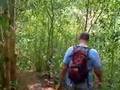 Bring the Bug Spray to Maunawili Falls