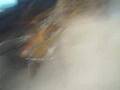 videos de Special Force Glitchers