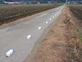 How to Draw a Line on the Road