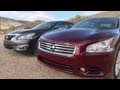 2013 Nissan Altima vs Maxima 0-60 MPH Mashup ...