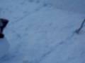 videos de Snowman contest 2009 022