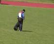 obbedienza di nilo dei nobili nati all'idc wm 2008