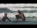 Surf Dog Surf Dog