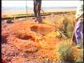 This video comes from an unidentified tape given to a mate of mine at Peterborough, who features in this mpeg.Shot in 1994, Steamtown was starting to recover from the Big Spit of the early 1980's. Lots of things were starting to happen.In this video, the crew are doing some Rabbit poisoning. The first area is near Minvilara, and the second area in the Walloway Hills, near Halls Well.Steamtown packed up in 2003.