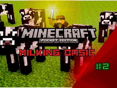how to milk a cow in minecraft p.e