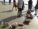 catch of the day in Goa.MOV catch of the day in Goa.MOV