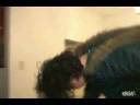 table prank causes broken back table prank causes broken back
