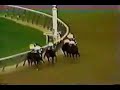 I made another Ruffian video... this one is alot better... Its a magical song, for a magical horse www.freehorseracegame.com January 5, 2007 #49 - Top Rated (Today) - Pets & Animals - All #55 - Top Favorites (Today) - Pets & Animals - All January 9, 2007 #40 - Top Favorites (This Week) - Pets & Animals - All #36 - Top Favorites (This Week) - Pets & Animals - English Febuary #78 - Top Favorites (This Month) - Pets & Animals - All