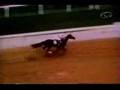 Ruffian...