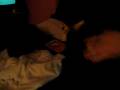 videos de takkun and the chicken nugget