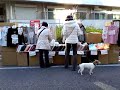 小岩昭和通り　和市なごみいち　2009年12月20日#17