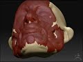 How to Sculpt the Face Using an Ecorche Approach How to Sculpt the Face Using an Ecorche Approach