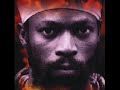 Capleton   What They Gonna Do