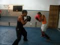 Equipe Uanderson Pit Bull 8
