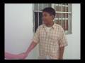 Animal Protection Bill School Project