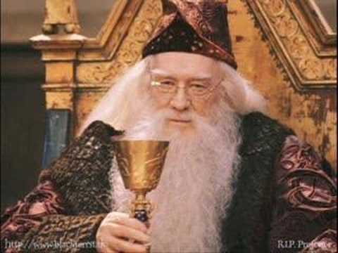 Albus Dumbledore and Severus Snape - If you were gay