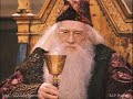 Albus Dumbledore and Severus Snape - If you were gay