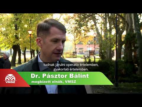 Dr. Pásztor Bálint: A VMSZ számára a műemlékvédelem nagyon jelentős téma-cover