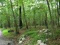 Crystal Lake Walk