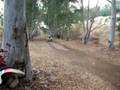 quad lolo carlos