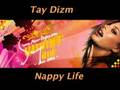 Tay Dizm - Nappy Life (T-Pain)