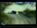 Rally car hits a horse - accident, crash, horse, rally, rally car
