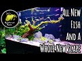 20 Gallon Long Aquarium For Sale