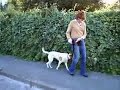 Dog Training & Dancing Intro, with Martia Nelson & Rincon Dog Training & Dancing Intro, with Martia Nelson & Rincon