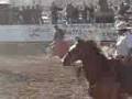 videos de el estupido del balta en el rosario