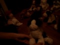 my webkinz collection!