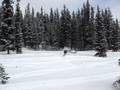Powder a la sled.MPG