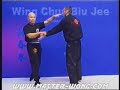 Wing Chun (Biu Jee)