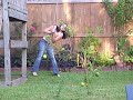 Great Backyard Adventures! (Well Maybe Not So Great)
